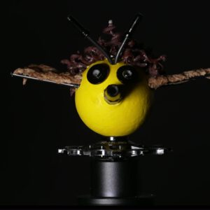 Bee Drone Max