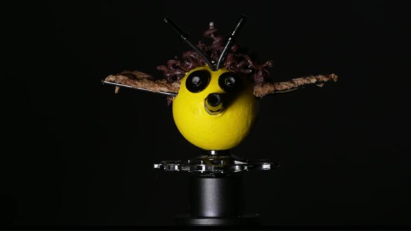 Bee Drone Max
