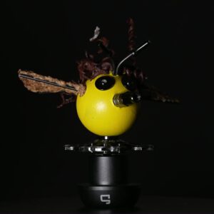Bee Drone Moritz