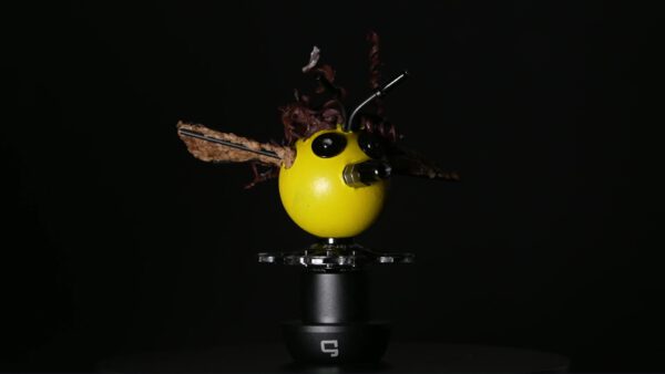 Bee Drone Moritz