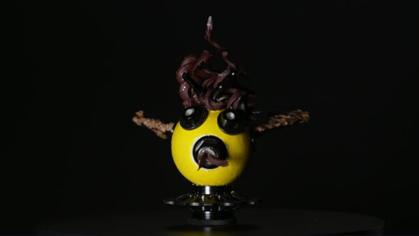 Bee Funny