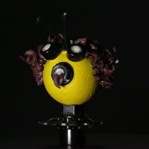 Johnny Bee