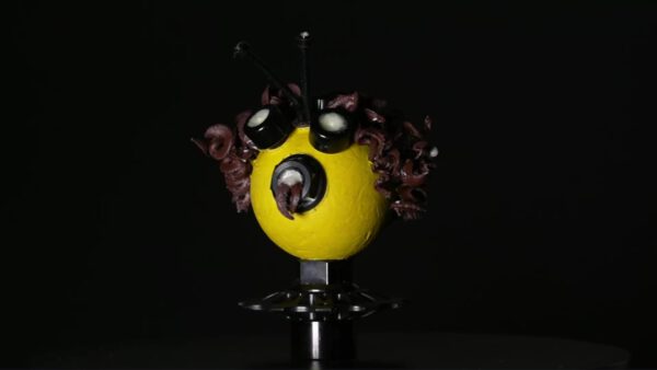 Johnny Bee