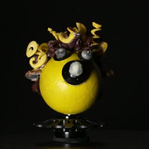Nosy Bee