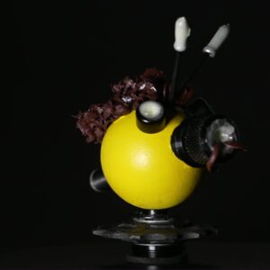 Be Vivien Bee