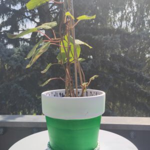 Flowerpot